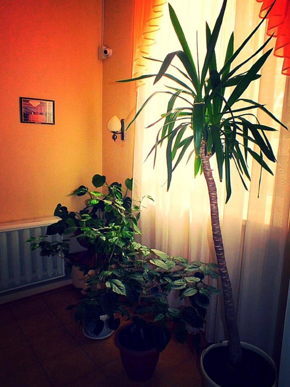 Vorontsovskiy Hotel Melitopolʼ Extérieur photo